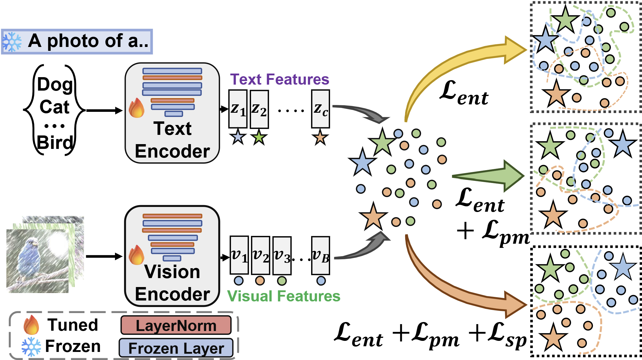 Description of the image